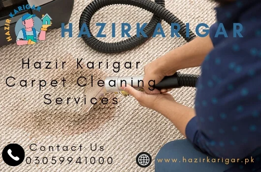 Carpet Cleaning service