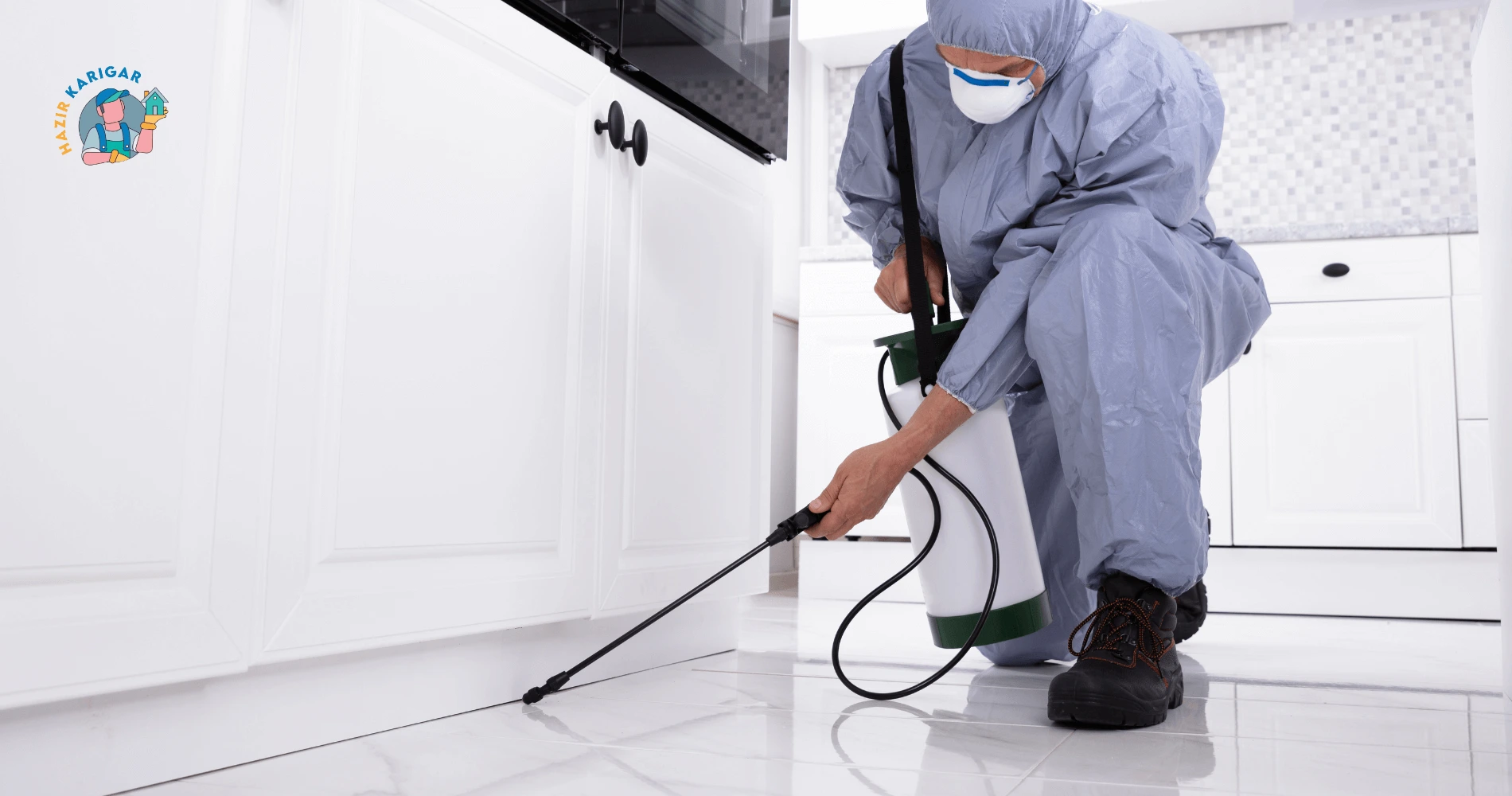 Deemak Pest Control Services in Lahore