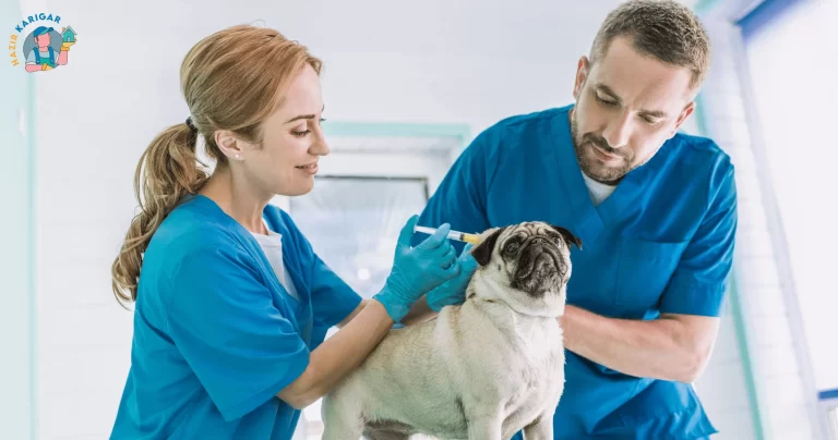 Veterinary Services At Doorstep in Lahore